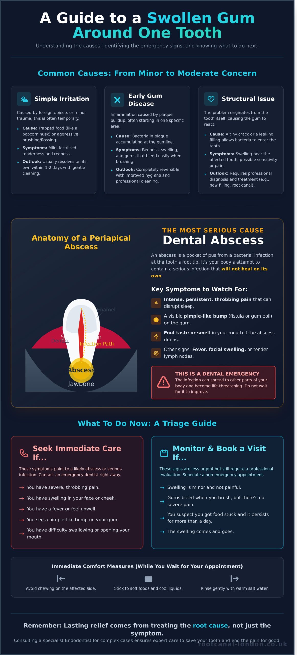 Swollen Gum Around One Tooth? A Specialist’s Guide to Causes & Next Steps - Infographic